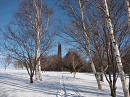 p1022043_thumb.gif
