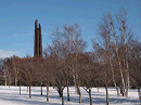 p1022044_thumb.gif