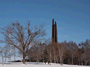 p1022048_thumb.gif