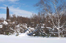 p1000233_thumb.gif