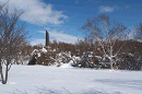 p1000234_thumb.gif