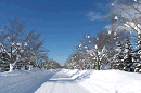 p1000119_thumb.gif