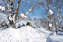 p1000162_thumb.gif
