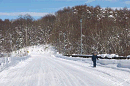 p1000214_thumb.gif
