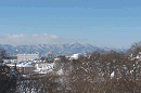 p1000222_thumb.gif