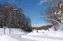p1000244_thumb.gif