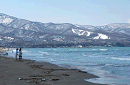 p1000394_thumb.gif