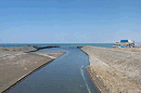 p1000405_thumb.gif