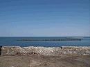 p4120010_thumb.gif