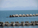 p4120014_thumb.gif