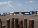 p4120077_thumb.gif